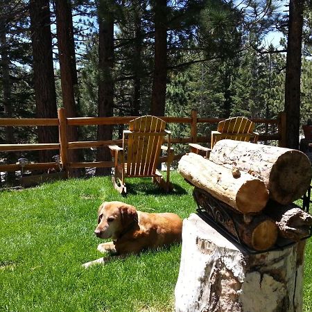 Innsbruck Lodge Mammoth Lakes Ngoại thất bức ảnh