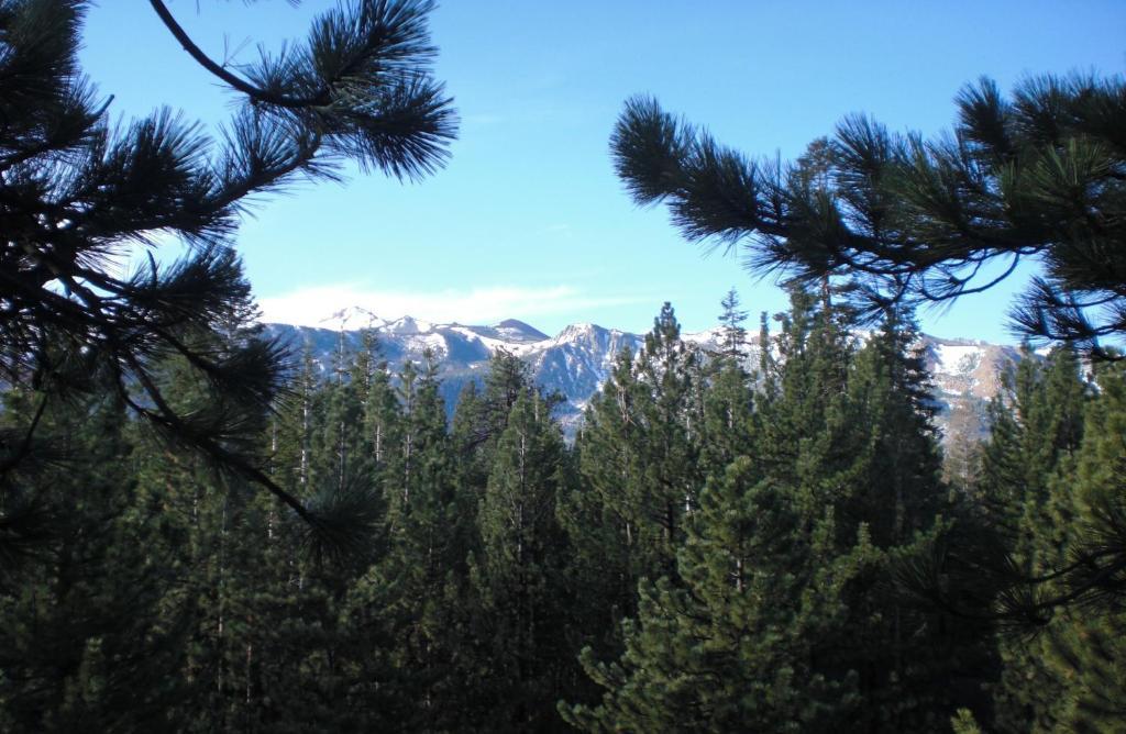 Innsbruck Lodge Mammoth Lakes Phòng bức ảnh
