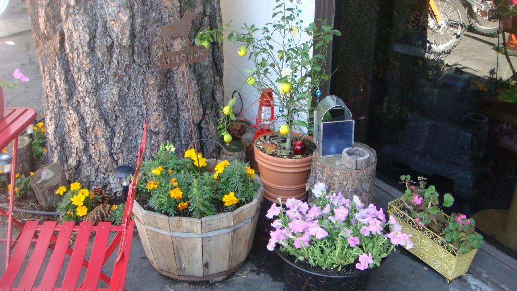 Innsbruck Lodge Mammoth Lakes Ngoại thất bức ảnh