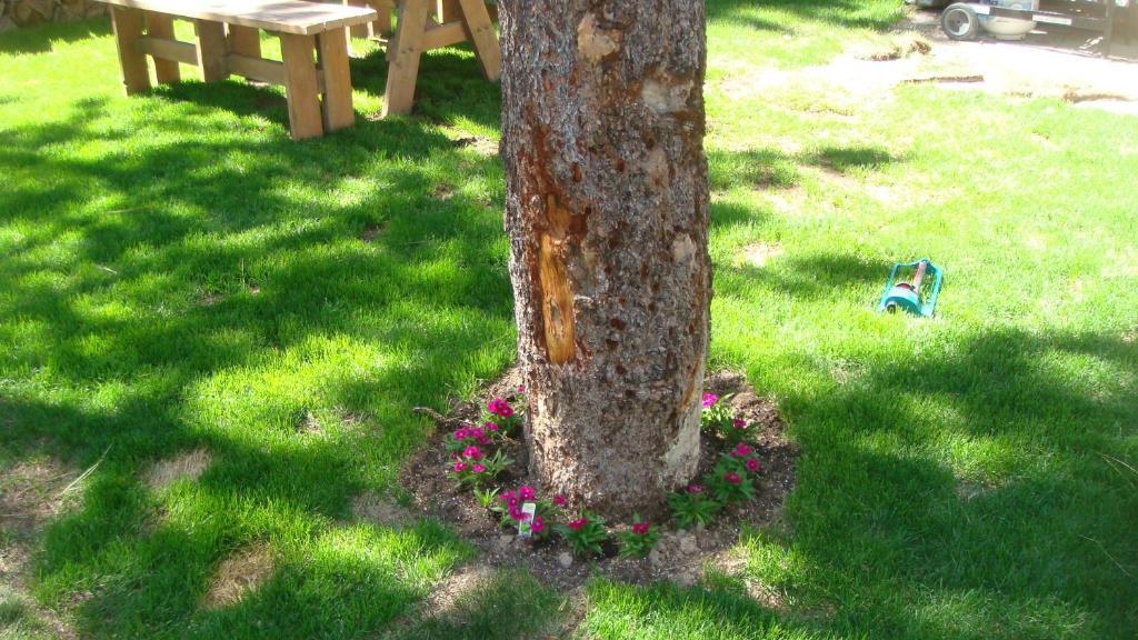 Innsbruck Lodge Mammoth Lakes Ngoại thất bức ảnh