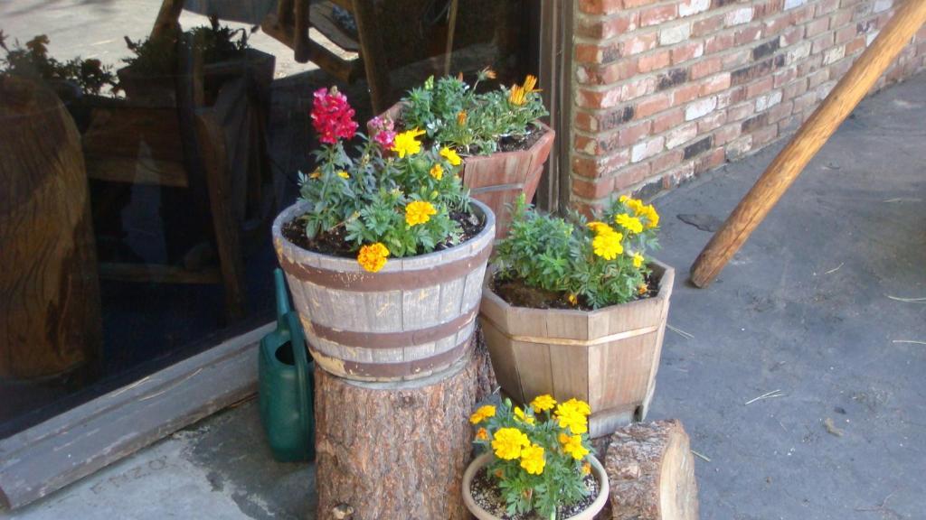 Innsbruck Lodge Mammoth Lakes Ngoại thất bức ảnh