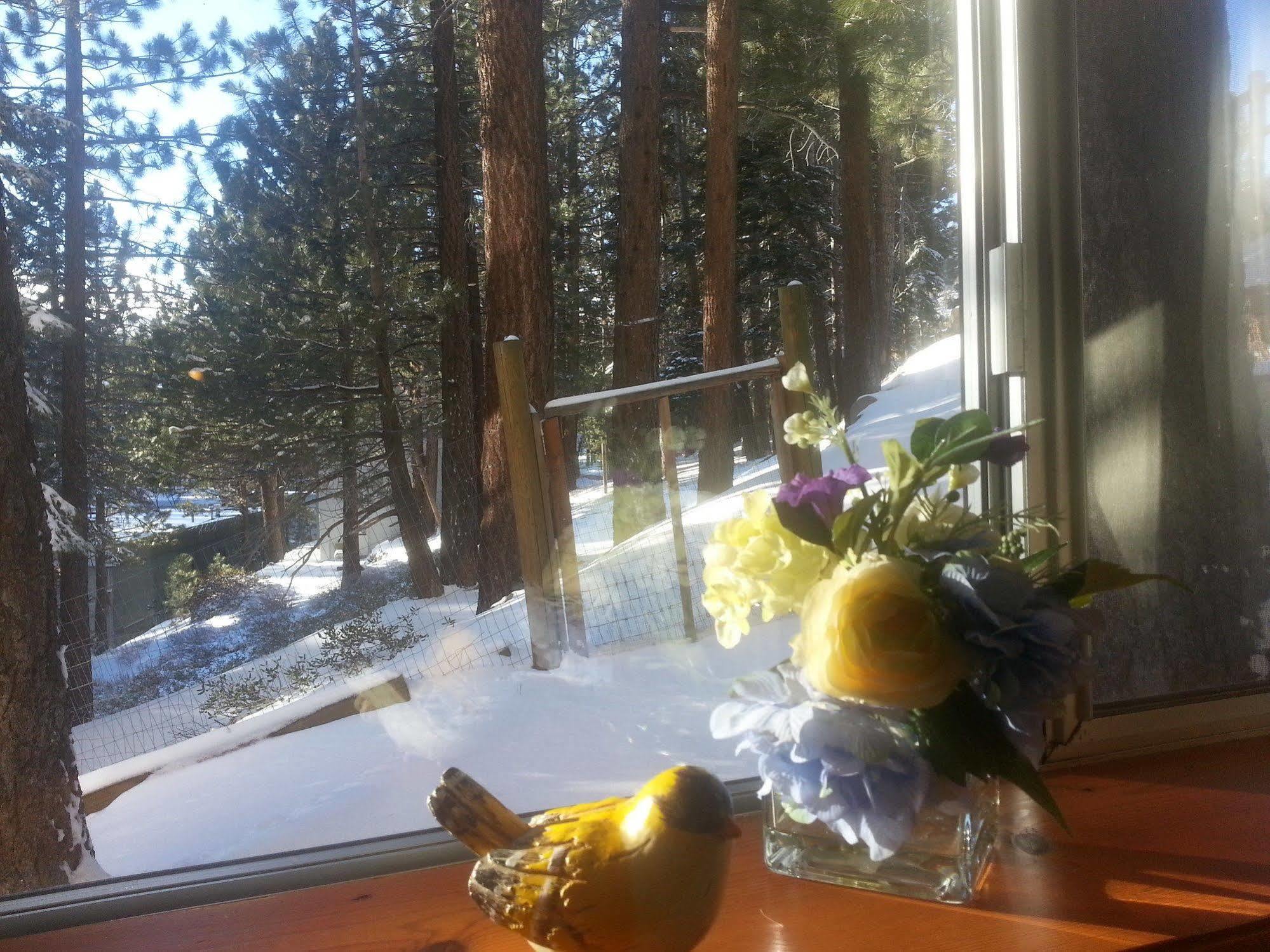 Innsbruck Lodge Mammoth Lakes Ngoại thất bức ảnh