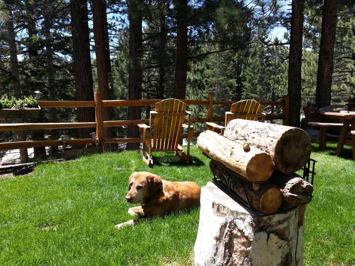Innsbruck Lodge Mammoth Lakes Ngoại thất bức ảnh